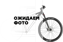 Велосипед Welt Ranger 4.0 29 (2024)